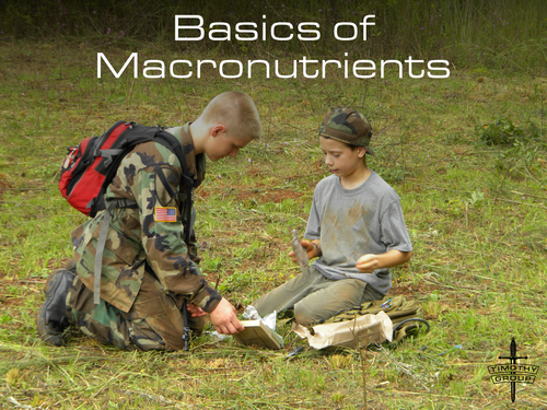Basics of Macronutrients